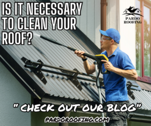 roof cleaning